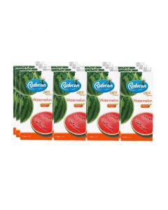 Buy Rubicon Watermelon No Sugar Added Juice (12 Packs of 1L) online